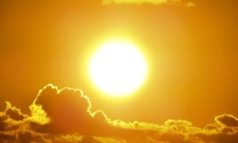 Vitamin D benefits, sources, and supplements